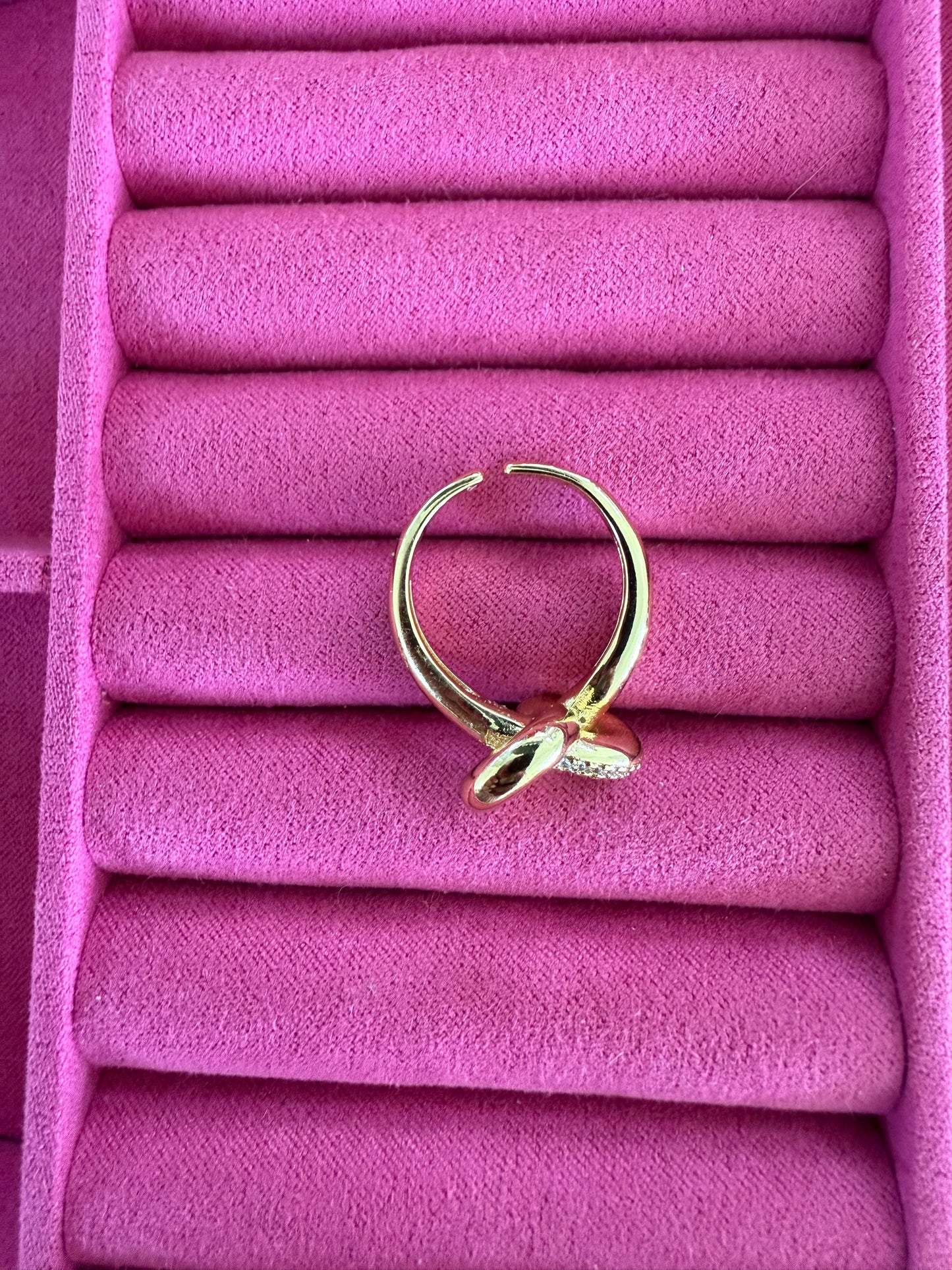 Fancy knot Ring