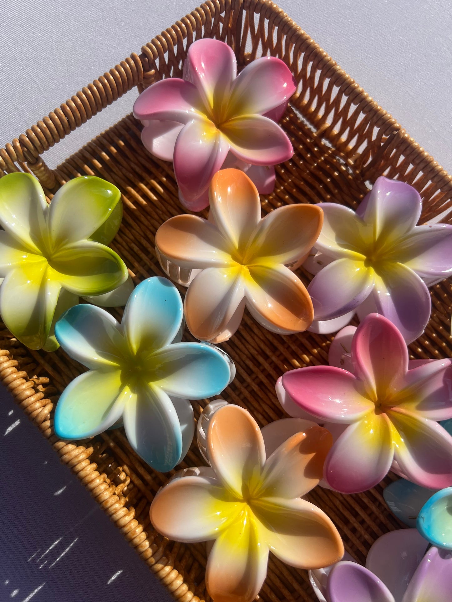 Tropical Hair Clip