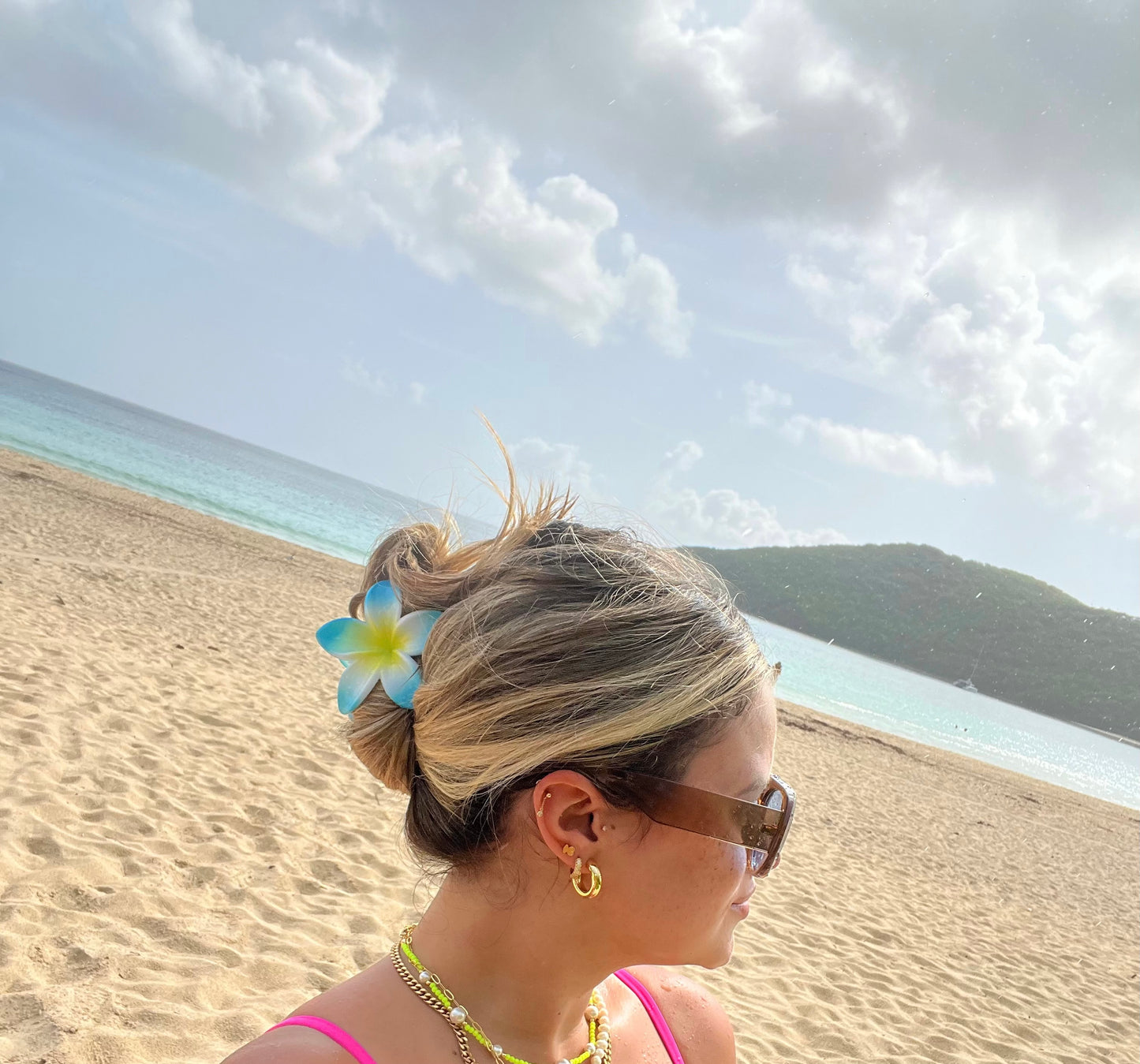 Tropical Hair Clip