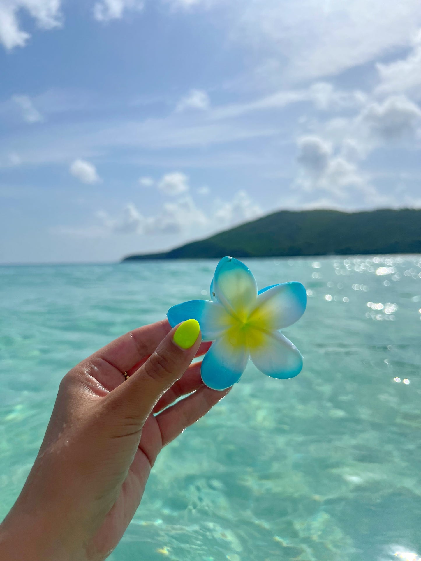 Tropical Hair Clip