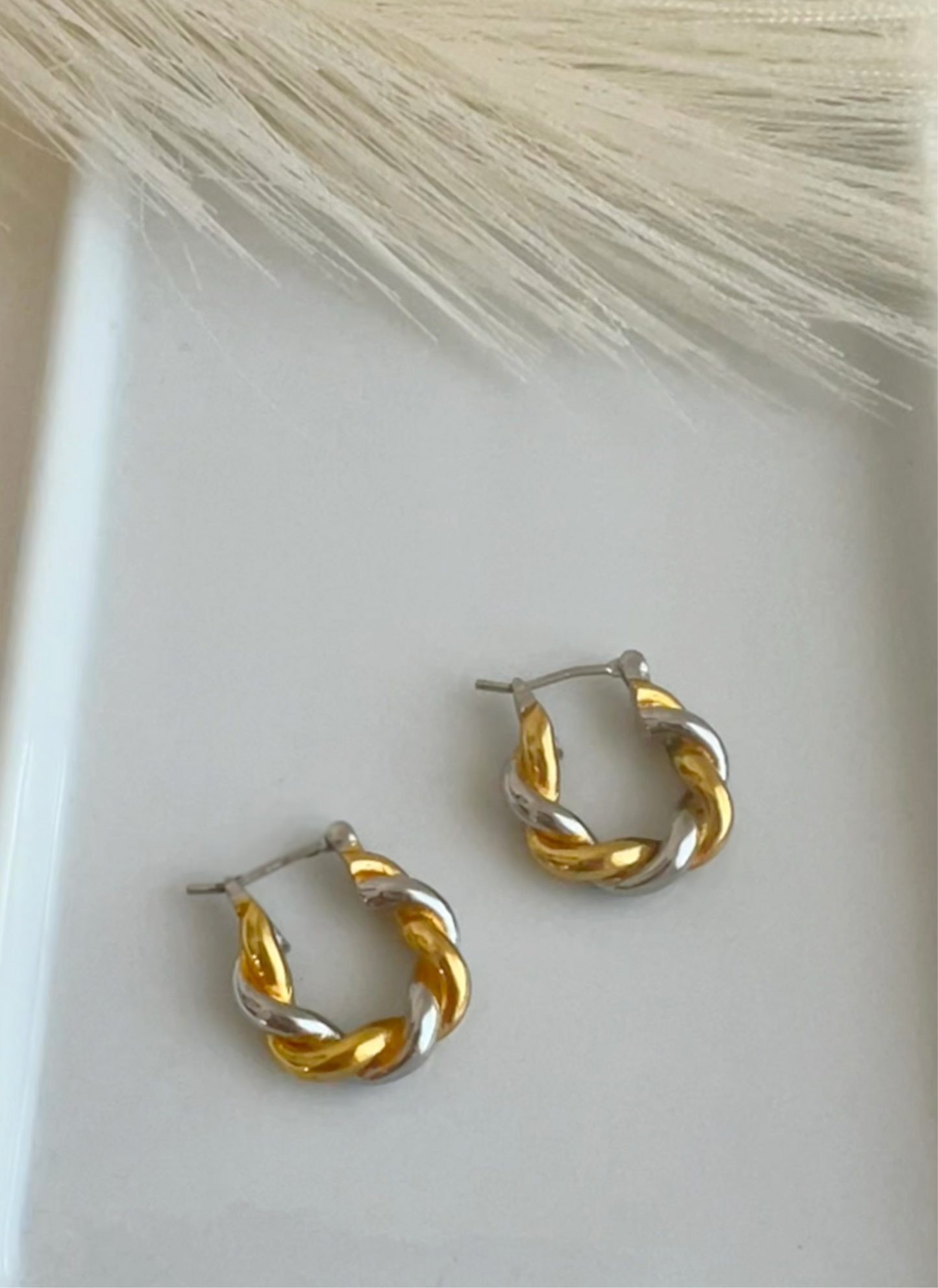 Two Tone Hoops