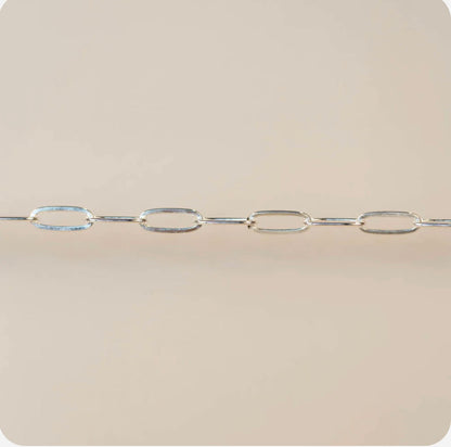 Silver Paper Clip